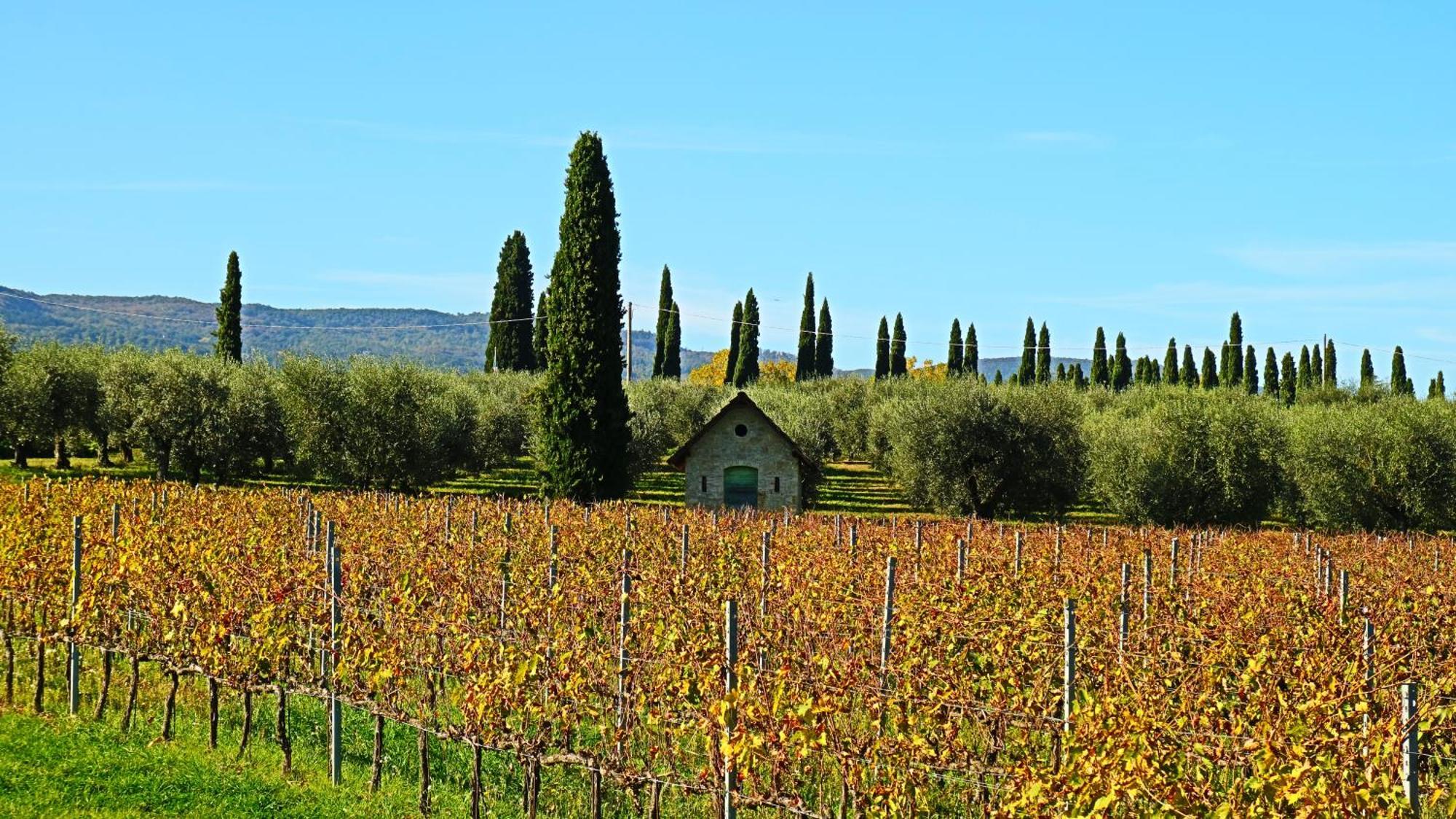 Agriturismo La Sovana Sarteano Exterior foto